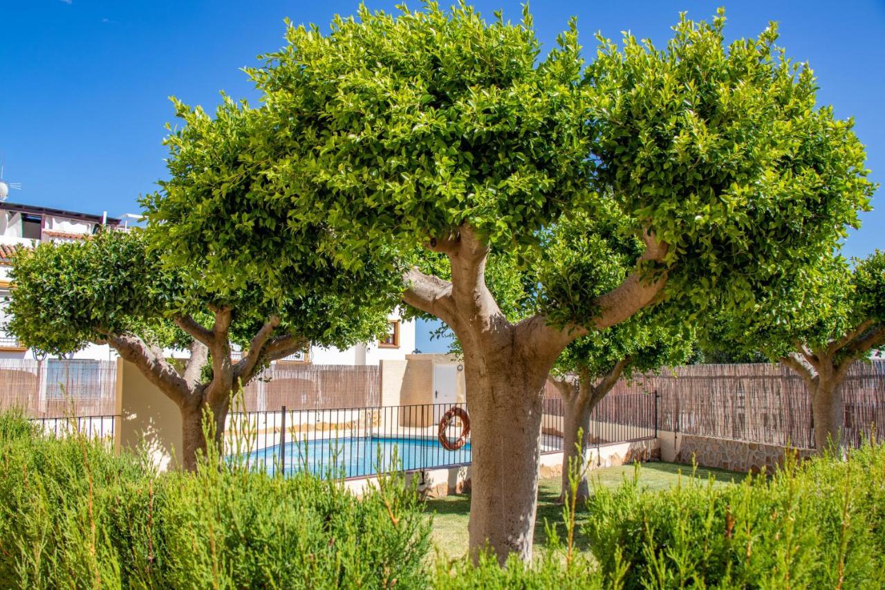 Beach Apartamentos Garrucha Dış mekan fotoğraf