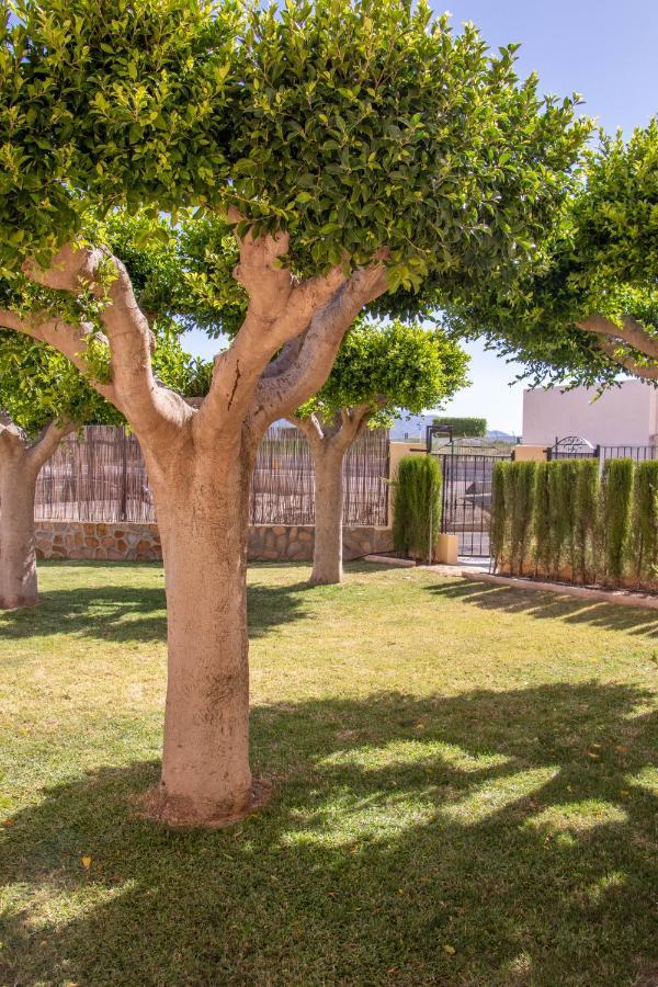 Beach Apartamentos Garrucha Dış mekan fotoğraf